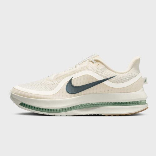 Nike Pegasus Premium (HQ2592106) [1]