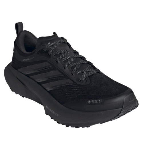 adidas Originals SUPERNOVA RISE 3 GTX (KI3134) [1]