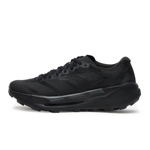 adidas Originals Terrex Agravic TT Lightstrikepro Trail Running (KI4303) [1]