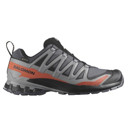 Salomon XA Pro 3D V9 GTX (L47817500) [1]