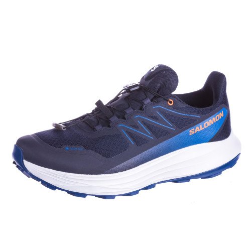 Salomon ALPHARIDE 2 GTX (L45476800) [1]