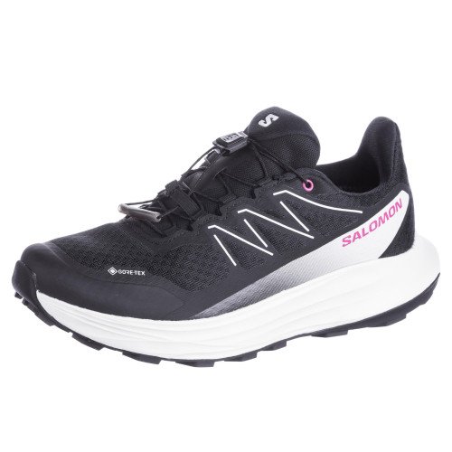 Salomon ALPHARIDE 2 GTX (L45476900) [1]