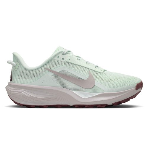 Nike ACG Pegasus (HV8121-302) [1]