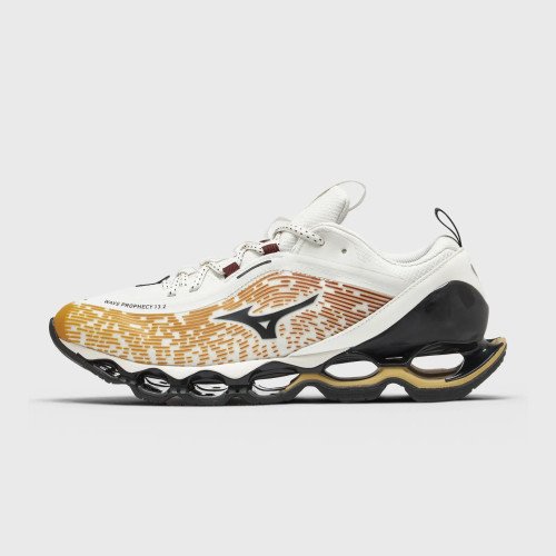 Mizuno Wave Prophecy 13.2 (D1GA260H02) [1]