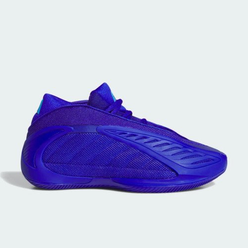 adidas Originals ANTHONY EDWARDS 2 J (JQ2067) [1]