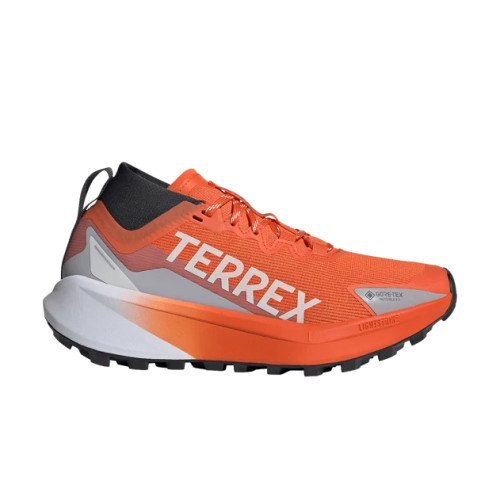 adidas Originals Terrex Agravic GTX (JR5248) [1]