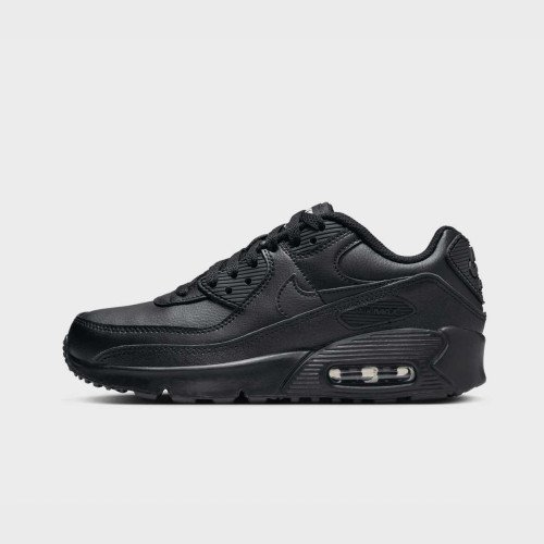 Nike Air Max 90 LTR (GS) (CD6864028) [1]