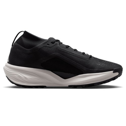 Nike Acg Pegasus Trail Gtx (IQ1084-001) [1]