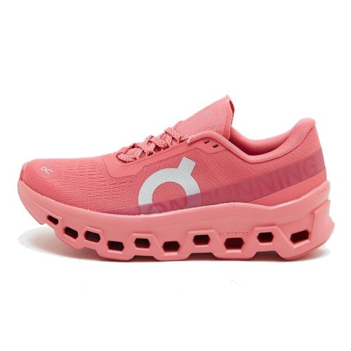 ON Cloudmonster 1 W (3WF30486071) [1]