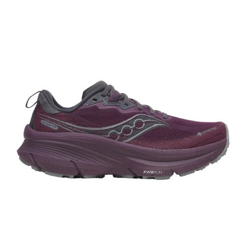 Saucony Saucony Guide TR GTX (S101840) [1]