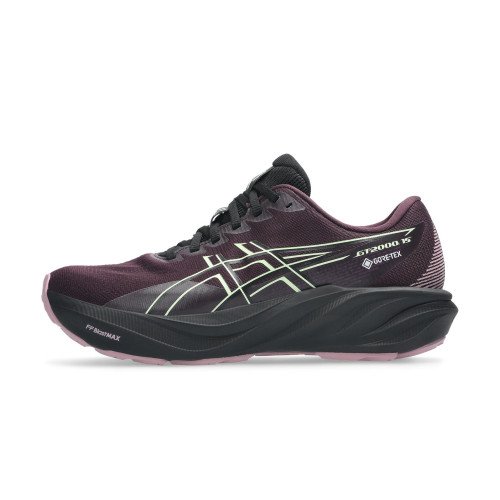 Asics GT-2000 15 GTX (1012C002) [1]
