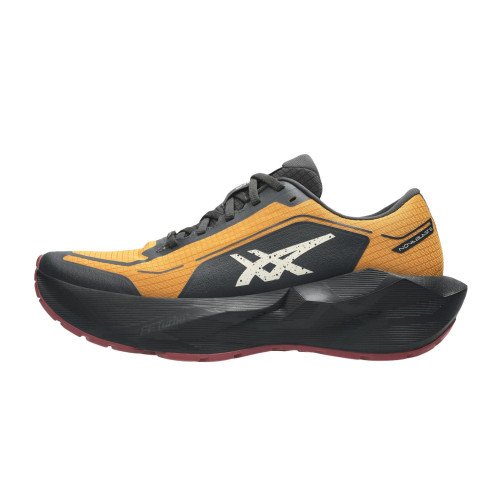 Asics Novablast 6 GTX (1011C256) [1]