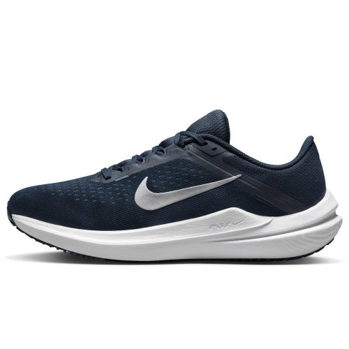 Nike Nike Winflo 10 (DV4022-400) [1]