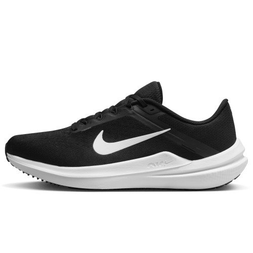 Nike Nike Winflo 10 (DV4022-003) [1]