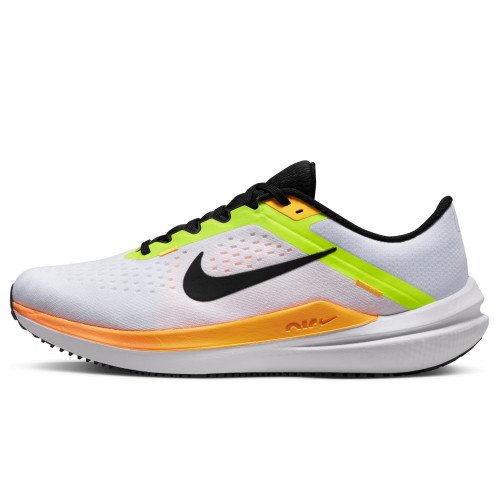 Nike Nike Winflo 10 (DV4022-101) [1]