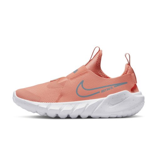 Nike Nike Flex Runner 2 Sidewalk (DM4208-600) [1]