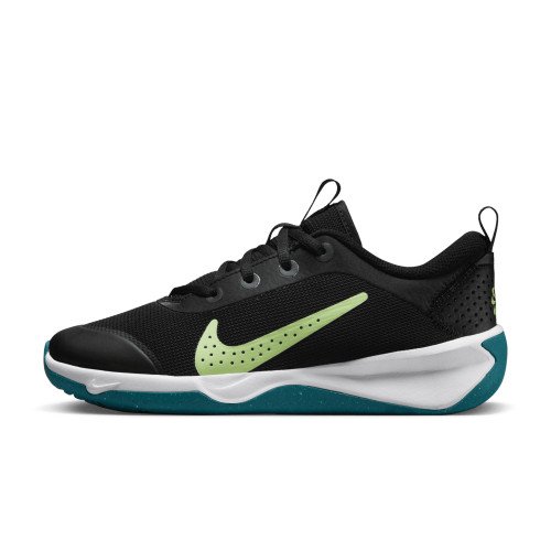 Nike Nike Omni Multi-Court (DM9027-003) [1]