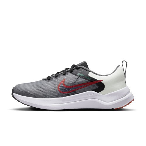 Nike Nike Downshifter 12 (DM4194-007) [1]