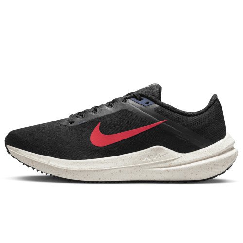 Nike Nike Winflo 10 (DV4022-002) [1]