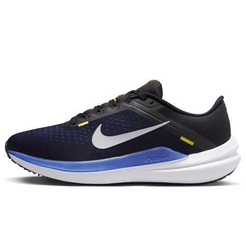 Nike Nike Winflo 10 (DV4022-005) [1]