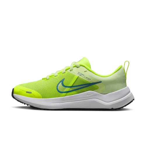 Nike Nike Downshifter 12 (DM4194-700) [1]