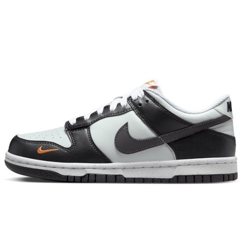 Nike Nike Dunk Low (FN7784-001) [1]