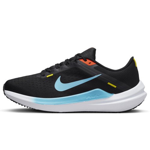 Nike Nike Winflo 10 (DV4023-002) [1]