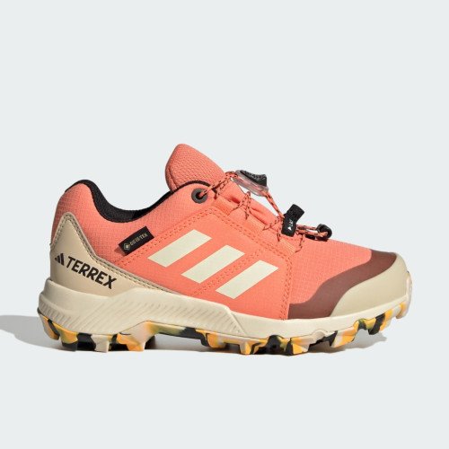 adidas Originals TERREX GORE-TEX (IF7520) [1]