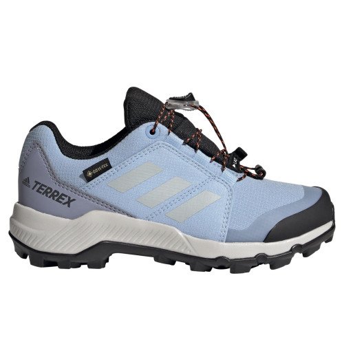 adidas Originals TERREX GORE-TEX (FZ6055) [1]