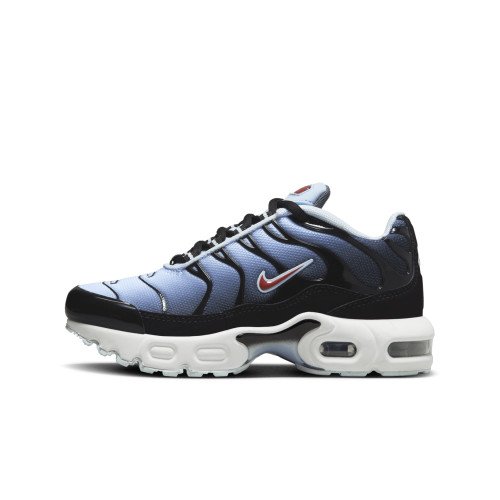 Nike Nike Air Max Plus (CD0610-023) [1]