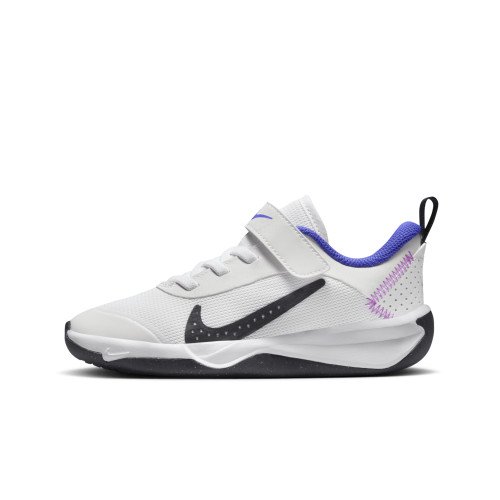 Nike Nike Omni Multi-Court (DM9026-104) [1]