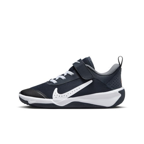 Nike Nike Omni Multi-Court (DM9026-402) [1]