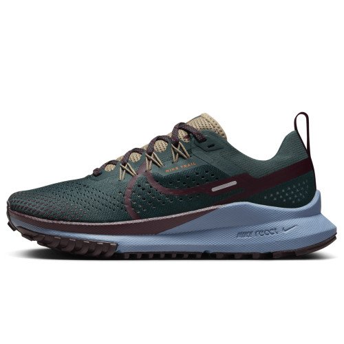 Nike Nike Pegasus Trail 4 (DJ6159-301) [1]