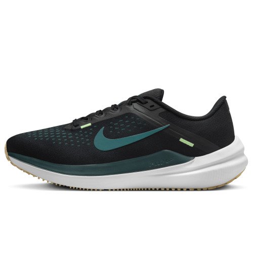 Nike Nike Winflo 10 (DV4022-008) [1]
