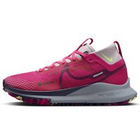 Nike Nike Pegasus Trail 4 GORE-TEX (DJ7929-600)