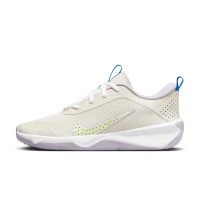 Nike Nike Omni Multi-Court (DM9027-106)