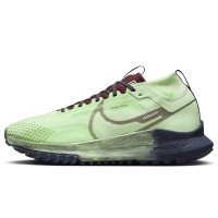 Nike Nike Pegasus Trail 4 GORE-TEX (DJ7926-303)