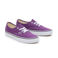 Vans Authentic Color Theory (VN000BW51N8)