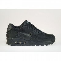 Nike Air Max 90 Mesh (724824-001)