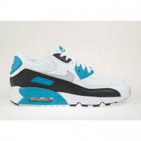 Nike Air Max 90 Mesh (833418-101)