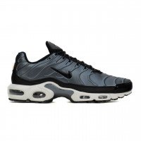 Nike Air Max Plus SE (AJ2013-401)
