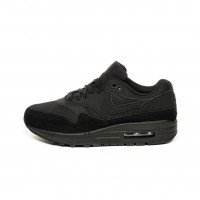 Nike Wmns Air Max 1 (319986-045)