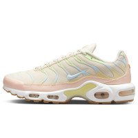 Nike Air Max Plus (DZ3671-800)