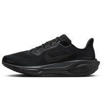 Nike Pegasus 41 (FD2722-001)