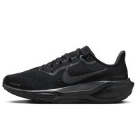 Nike Pegasus 41 (FD2723-001)