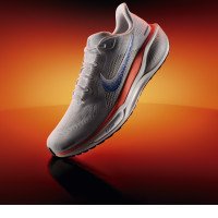 Nike Pegasus 41 Blueprint (HF0013-900)