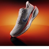 Nike Pegasus 41 Blueprint (HF7362-900)