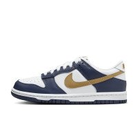 Nike Dunk Low (FB9109-111)