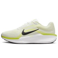 Nike Winflo 11 (FJ9509-101)