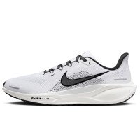 Nike Pegasus 41 (FD2722-105)